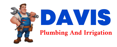 Trusted plumber in SAPPHIRE